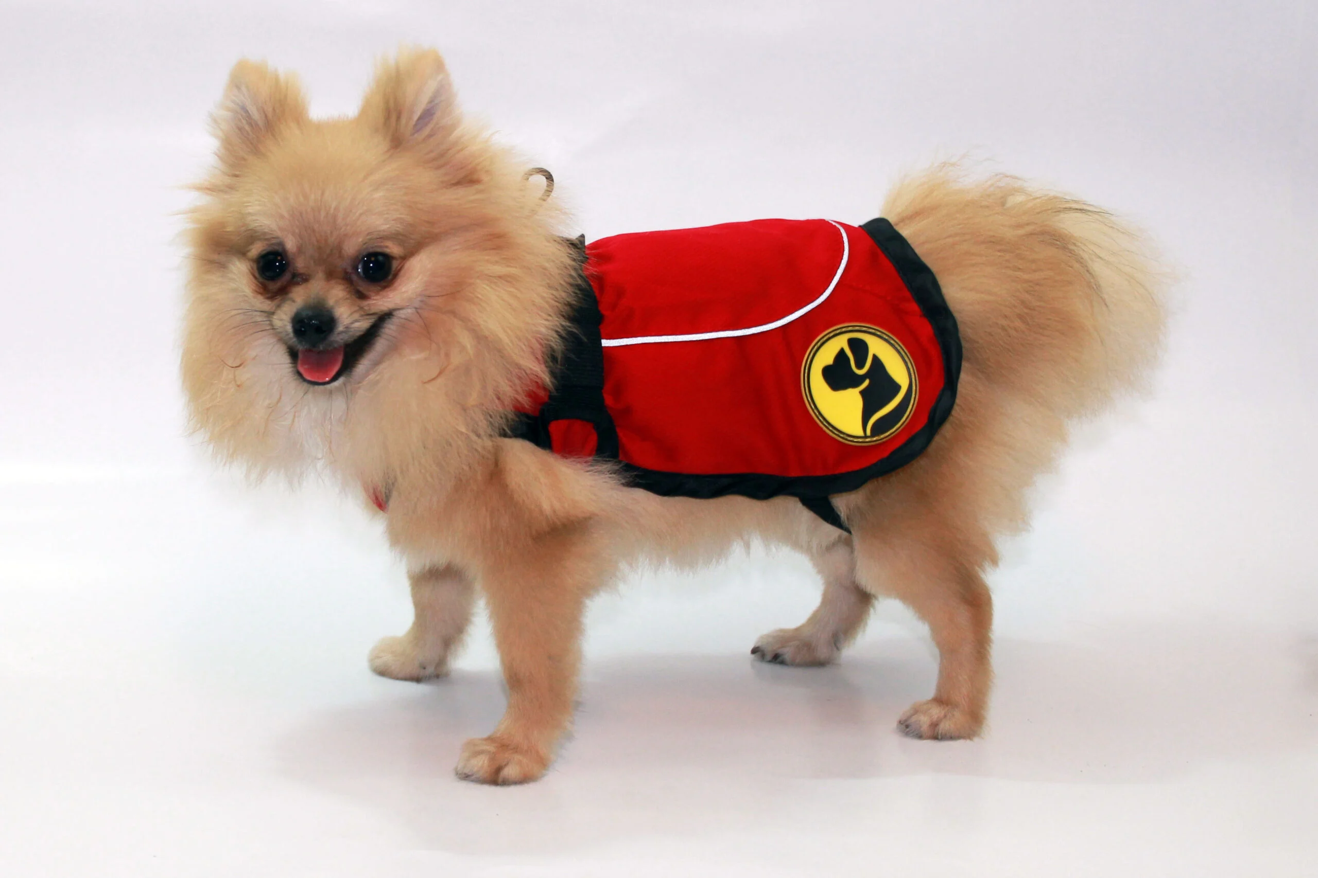 Manteau pour chien contre les tiques et les puces avec élément réfléchissant, XS, dos de 35 cm – Dog Armor Knockdown Coat (Insect Shield) – Image 2