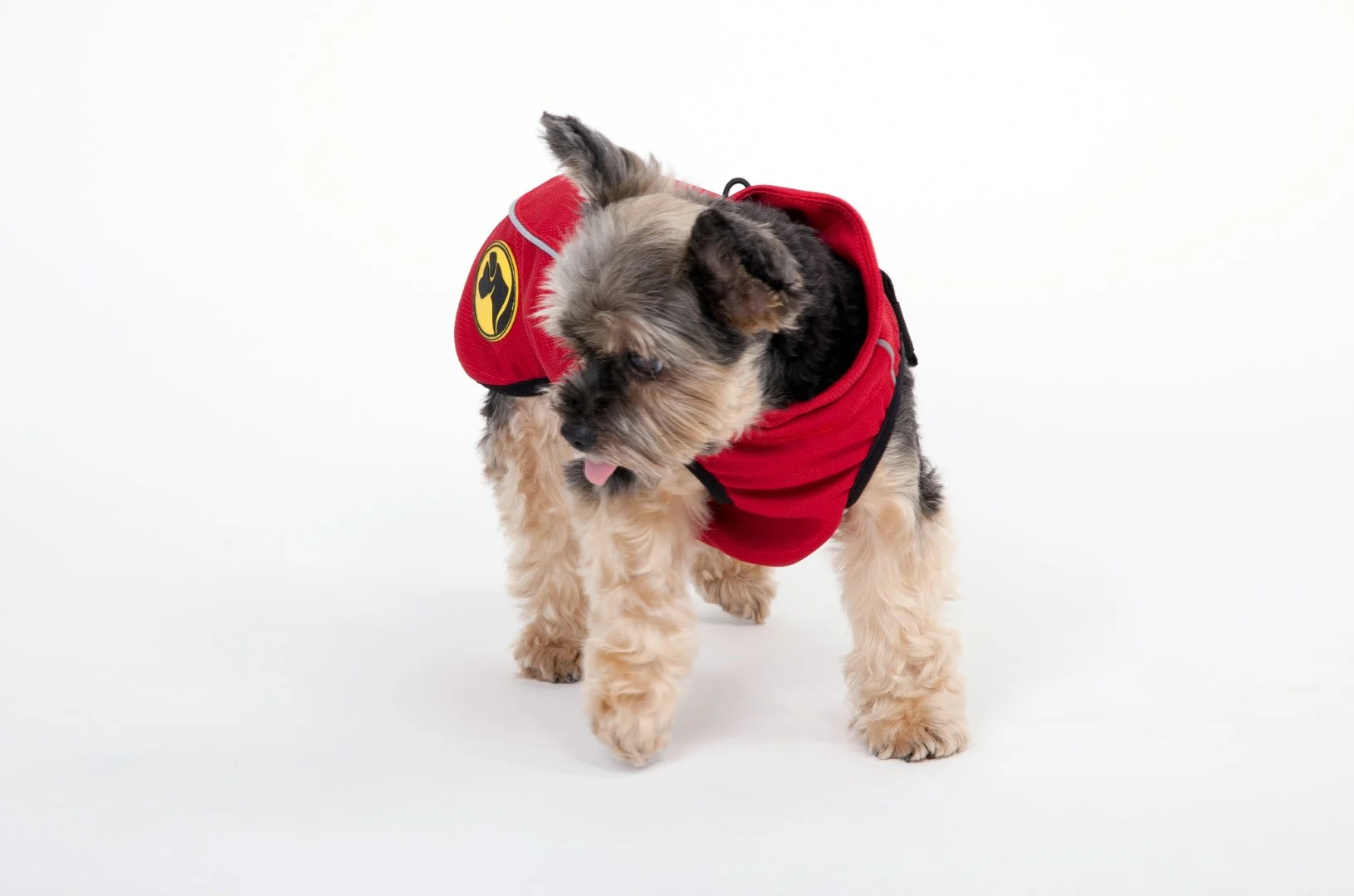 Manteau pour chien contre les tiques et les puces avec élément réfléchissant, XXXXS, longueur de dos 20 cm – Dog Armor Knockdown Coat (Insect Shield) – Image 6