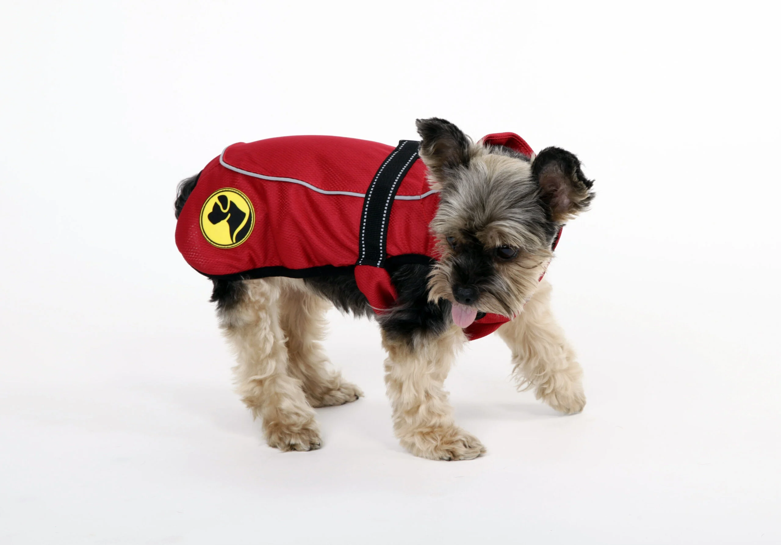 Manteau pour chien contre les tiques et les puces avec élément réfléchissant, XXXXS, longueur de dos 20 cm – Dog Armor Knockdown Coat (Insect Shield) – Image 1