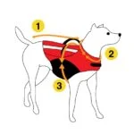 Manteau pour chien contre les tiques et les puces avec élément réfléchissant, XXXXS, longueur de dos 20 cm – Dog Armor Knockdown Coat (Insect Shield) – Image 4