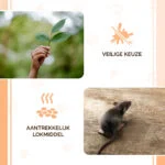 Granulés d’appât pour souris et rats, 50 g – Knock Pest granulés friandises – Image 4