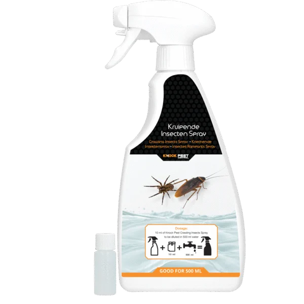 Concentré insecticide en spray contre les insectes rampants, 10 ml pour 500 ml – Knock Pest