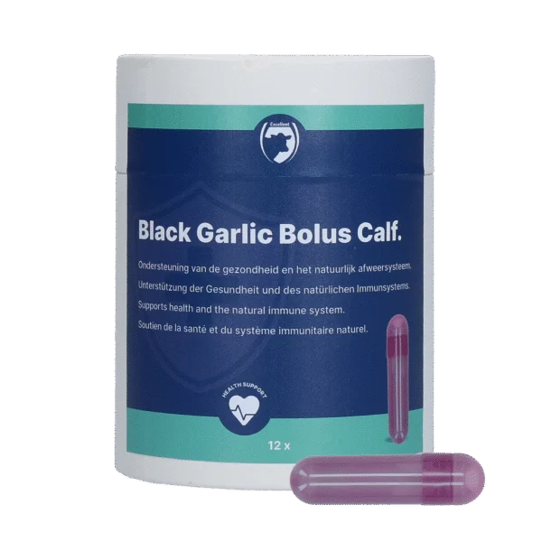 Bolus à l’ail pour veaux avec ginseng et chicorée – Excellent Black Garlic Bolus Kalf