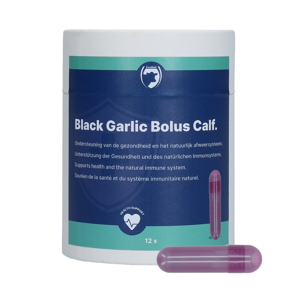 Bolus à l’ail pour veaux avec ginseng et chicorée – Excellent Black Garlic Bolus Kalf – Image 1