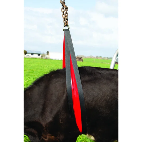 Sangle abdominale pour lève-vache, 2,4 m, soutien abdominal de 20 cm de large – Belly strap Front Lift