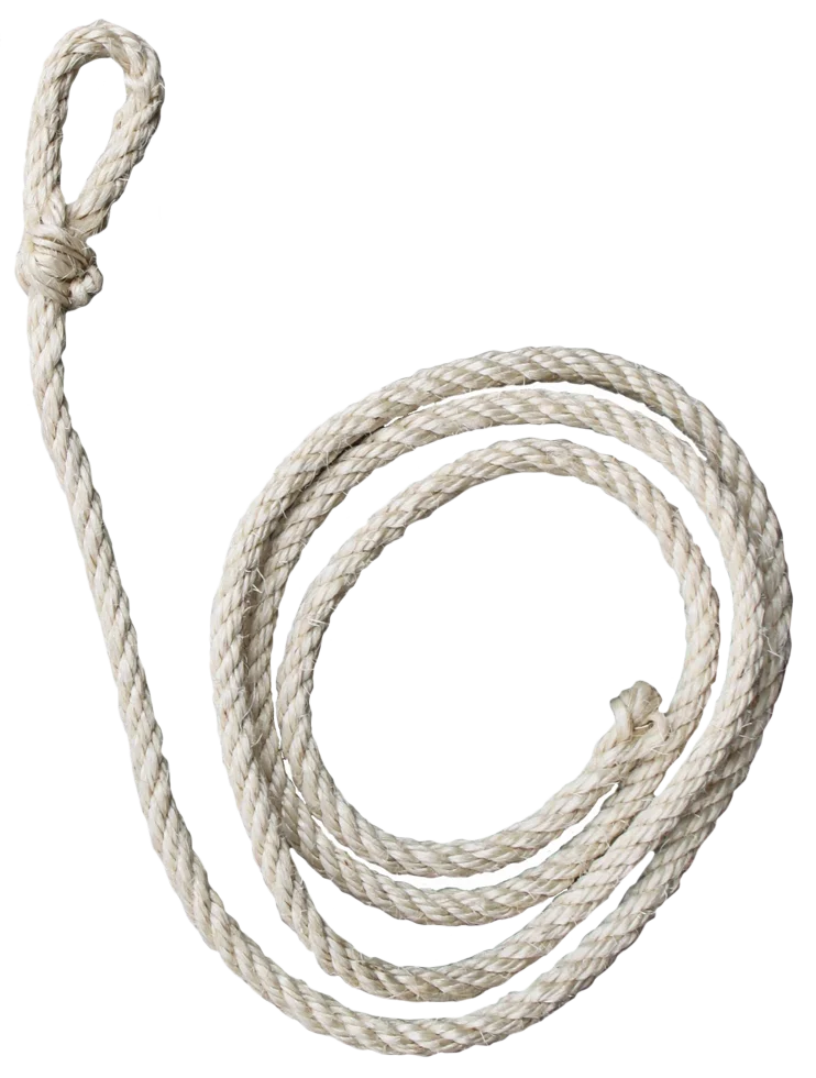 Corde pour bovin en sisal blanc, longueur 210 cm et épaisseur env. 10 mm – Image 1