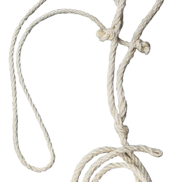 Licol pour bovin en sisal avec corde de tête fine, 200 cm