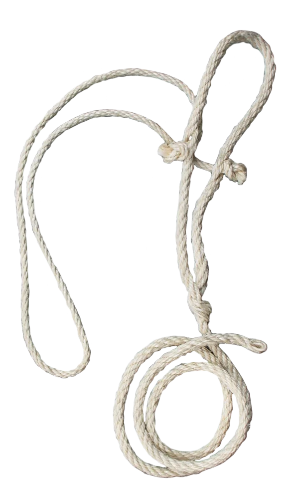 Licol pour bovin en sisal avec corde de tête fine, 200 cm