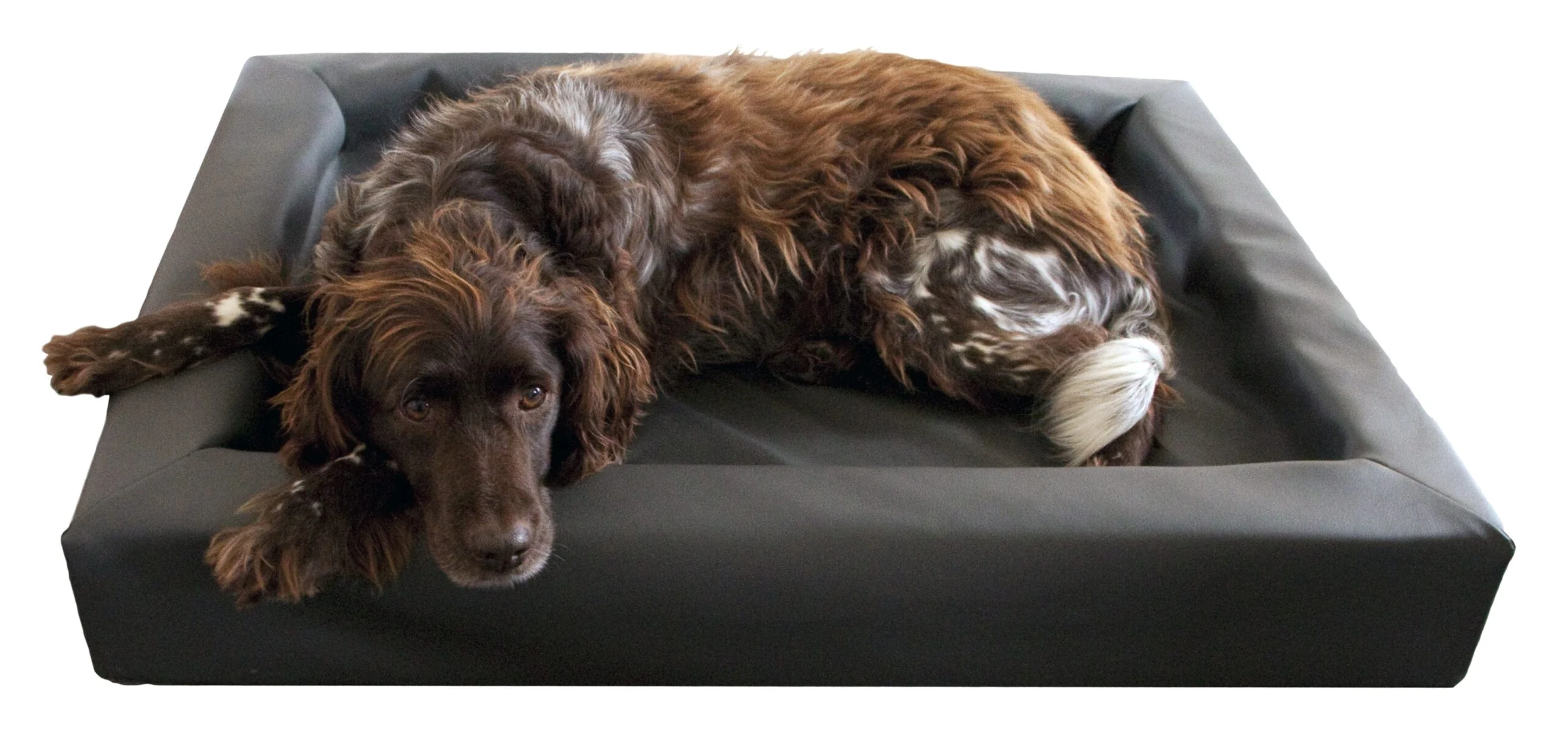 Panier lounge pour chien en similicuir avec bord surélevé S, 50 x 60 cm – Image 2