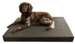 Panier orthopédique pour chien avec 3 cm de mousse à mémoire de forme, 55 x 80 cm – Hofman Animal Care HD Dog Bed S – Image 2