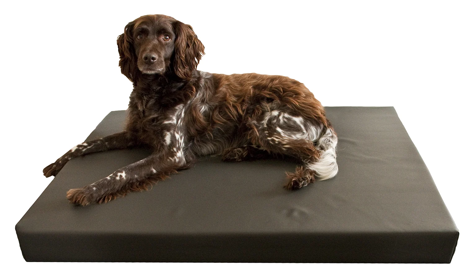 Panier orthopédique pour chien avec 3 cm de mousse à mémoire de forme, 55 x 80 cm – Hofman Animal Care HD Dog Bed S – Image 2