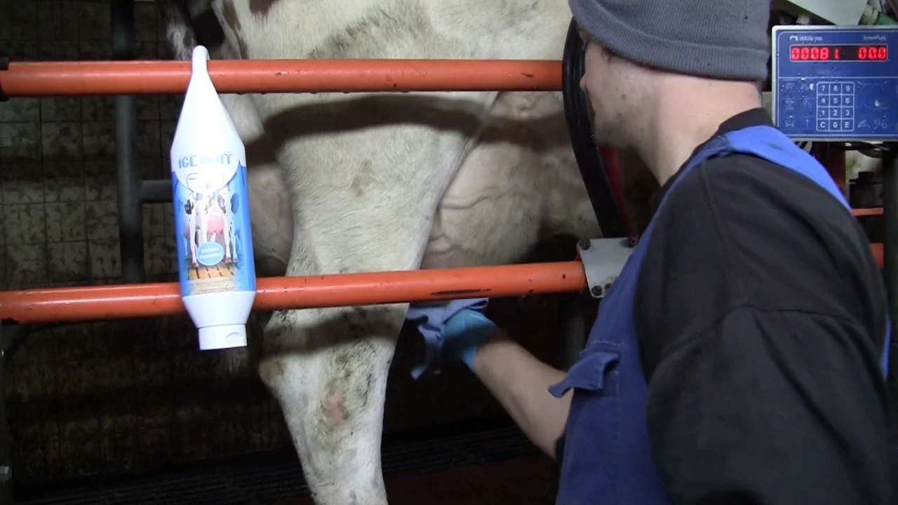 Gel pour trayons à l’huile de menthe poivrée, 2,5 l avec pompe doseuse – Vet Animal Care Ice Mint – Image 2