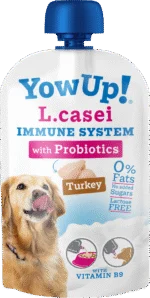 Yaourt pour chien aux probiotiques et à la dinde, sans lactose, 115 g – YowUp! L. Casei Immune System Turkey