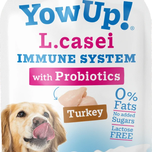 Yaourt pour chien aux probiotiques et à la dinde, sans lactose, 115 g – YowUp! L. Casei Immune System Turkey