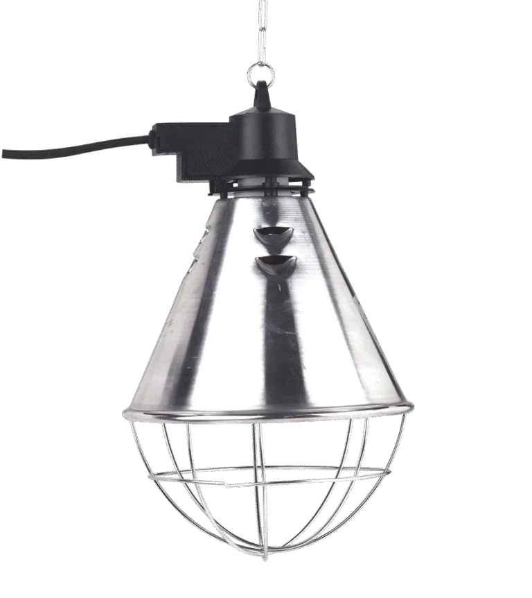Réflecteur pour lampe infrarouge avec câble de 5 m, sans lampe