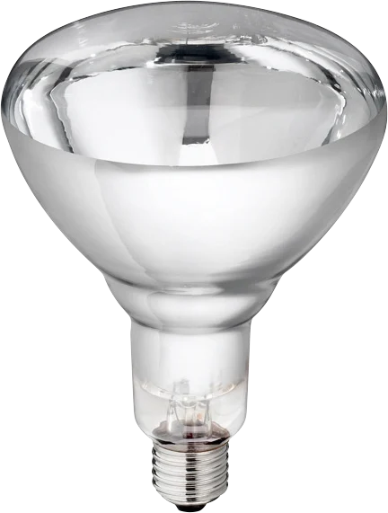 Lampe chauffante en verre dur pour jeunes animaux, 150 W, blanche – Image 1