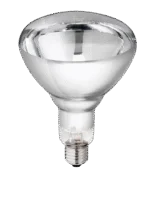 Lampe chauffante en verre dur pour jeunes animaux, 250 W, blanche