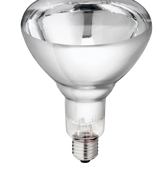 Lampe chauffante en verre dur pour jeunes animaux, 250 W, blanche