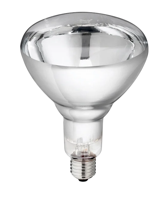 Lampe chauffante en verre dur pour jeunes animaux, 250 W, blanche – Image 1