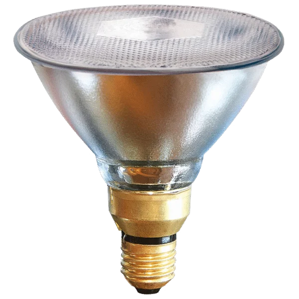 Ampoule à économie d’énergie 100 W blanche