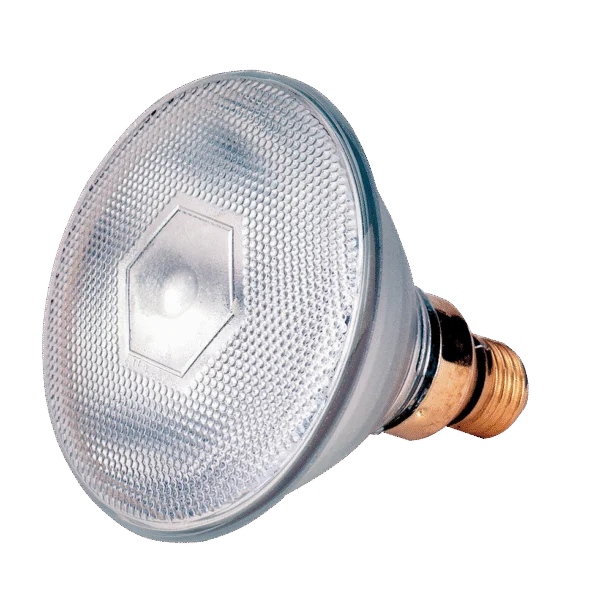 Ampoule à économie d’énergie 175 W blanche