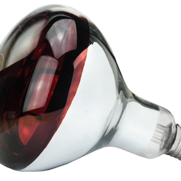 Lampe chauffante en verre trempé pour jeunes animaux, 250 W rouge