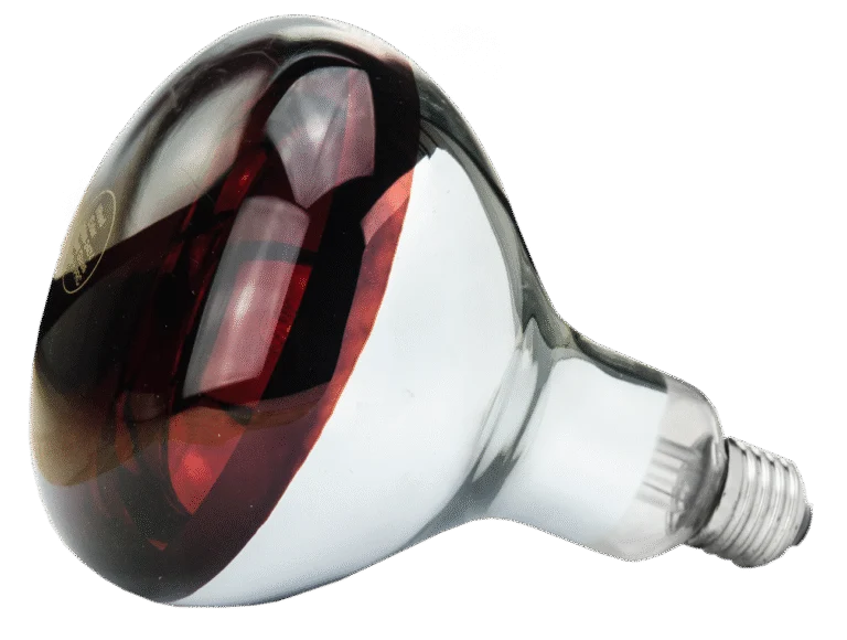 Lampe chauffante en verre trempé pour jeunes animaux, 250 W rouge