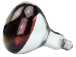 Lampe chauffante en verre trempé pour jeunes animaux, 250 W rouge – Image 2