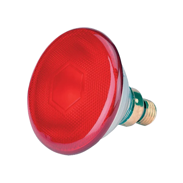 Ampoule basse consommation rouge 100 W