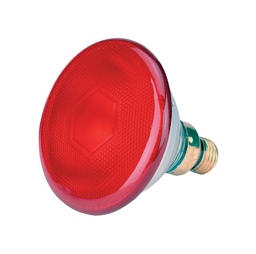 LAMP0011.png Ampoule basse consommation rouge 100 W – Image 1