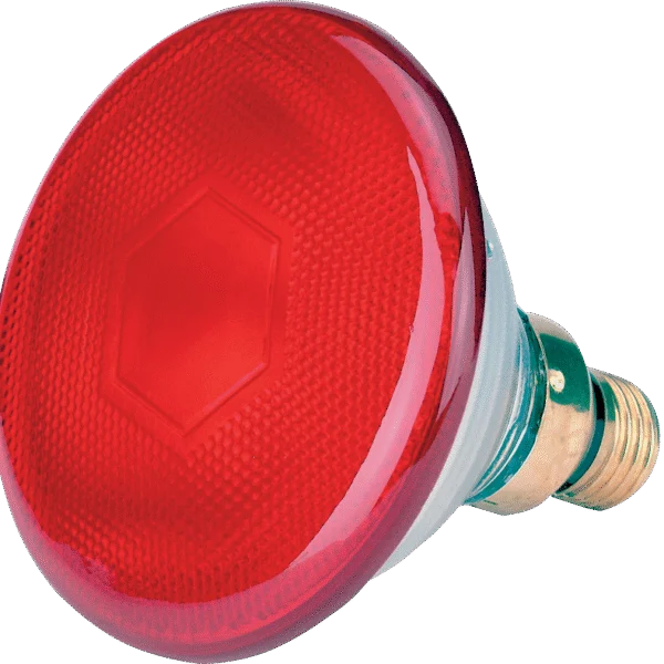 Ampoule à économie d’énergie 175 W rouge