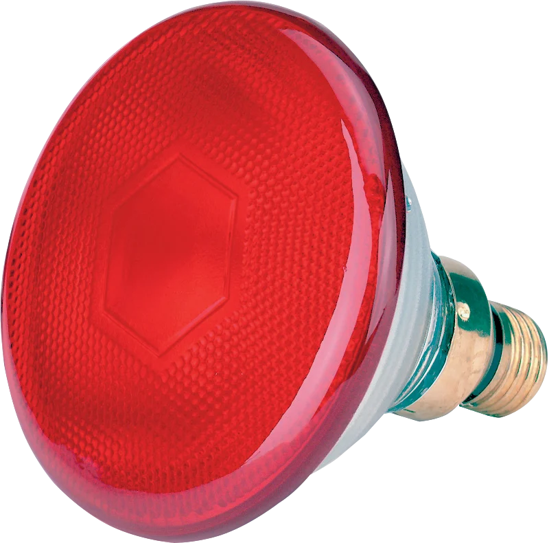 LAMP0015.png Ampoule à économie d’énergie 175 W rouge – Image 1
