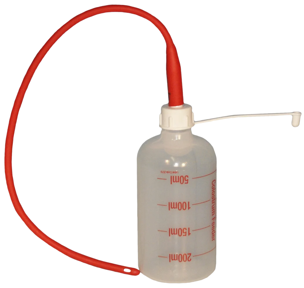 Sonde d’alimentation pour agneaux de 40 cm avec biberon de 250 ml – Image 1