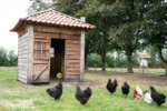 Bloc à picorer pour poules pondeuses au foin de prairie, 3,5 kg – LAX Tierfutter – Image 5