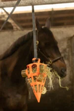 Blocs à grignoter pour chevaux au foin de prairie, 4 pièces – LAX Tierfutter bloc à grignoter au foin de prairie – Image 3