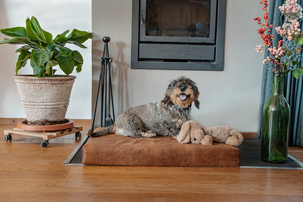 Coussin orthopédique pour chien à mémoire de forme, cognac XL, 125 x 90 x 10 cm – Let's Sleep Mellow Mattress – Image 2