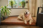 Coussin orthopédique pour chien à mémoire de forme, cognac XL, 125 x 90 x 10 cm – Let's Sleep Mellow Mattress – Image 3
