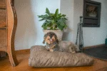 Coussin pour chien à flocons de mousse M taupe, 80 x 55 x 10 cm – Let's Sleep Plush Pillow – Image 2