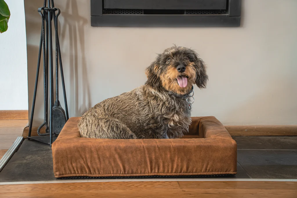 Coussin pour chien à rebords, taupe M, 60 x 50 x 12 cm – Let's Sleep Comfy Cushion – Image 2