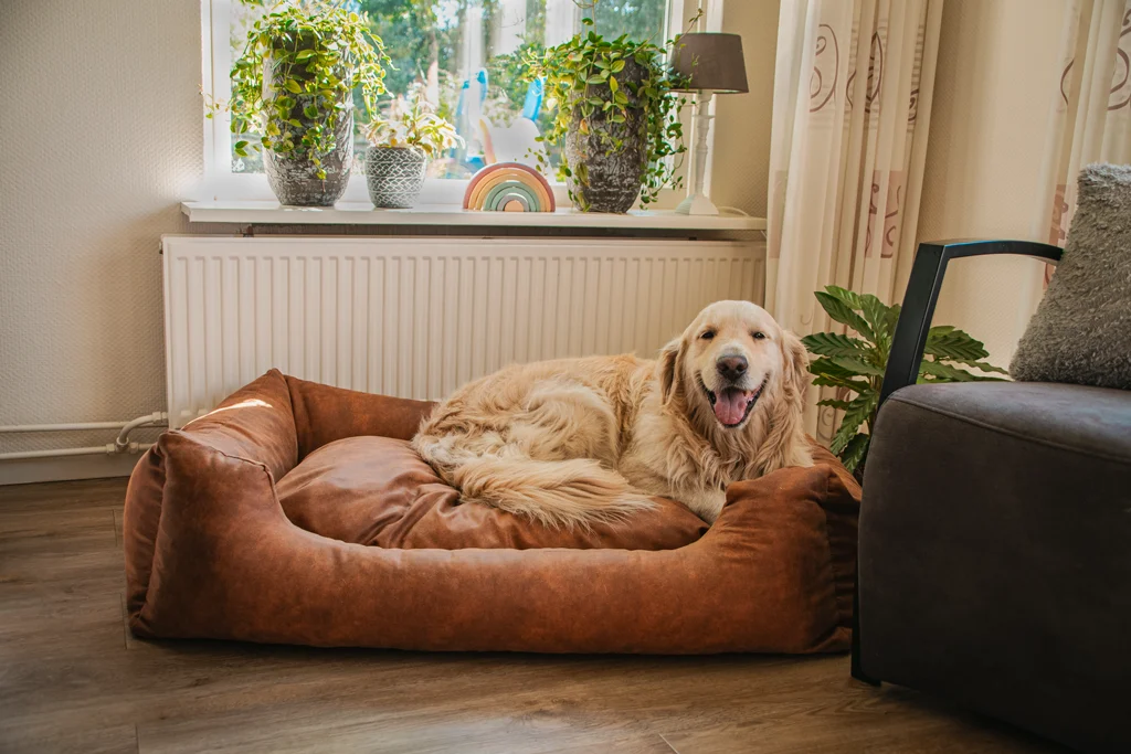 Panier pour chien avec coussin amovible L cognac – Let's Sleep Sweet Dreams – Image 2