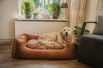 Panier pour chien avec coussin amovible XL taupe – Let's Sleep Sweet Dreams – Image 2