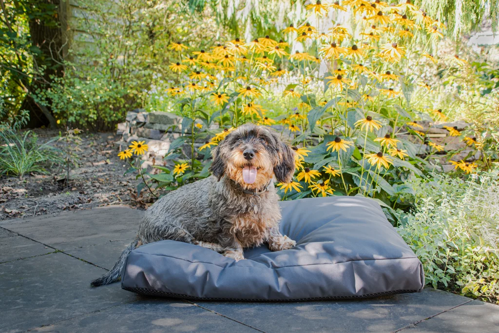 Coussin d’extérieur pour chien avec extérieur déperlant, anthracite XL, 125 x 90 x 10 cm – Let's Sleep Cushy Cloud – Image 3