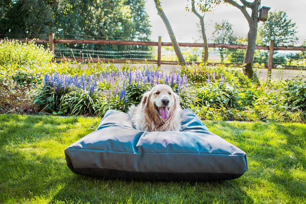 Coussin d’extérieur pour chien avec housse déperlante, anthracite M, 80 x 55 x 10 cm – Let's Sleep Cushy Cloud – Image 3