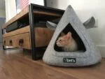 Tente tipi pour chat en feutre avec coussin, 50 x 45 cm, grise – Let's Sleep Pet Cave TeePee – Image 3