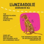Huile de lin pour chiens avec oméga 3, pressée à froid, 500 ml – Excellent Pets Linseed Oil – Image 6