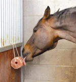 Pierre à sel de l’Himalaya pour chevaux avec corde, 2 à 3 kg – Excellent Horse Salt Lick Himalaya – Image 2
