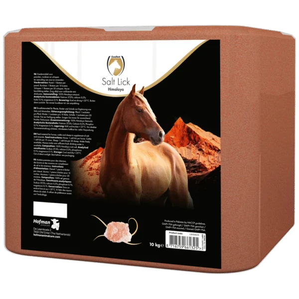 Pierre à sel de l’Himalaya pour chevaux, 10 kg – Excellent Horse Salt Lick Himalaya