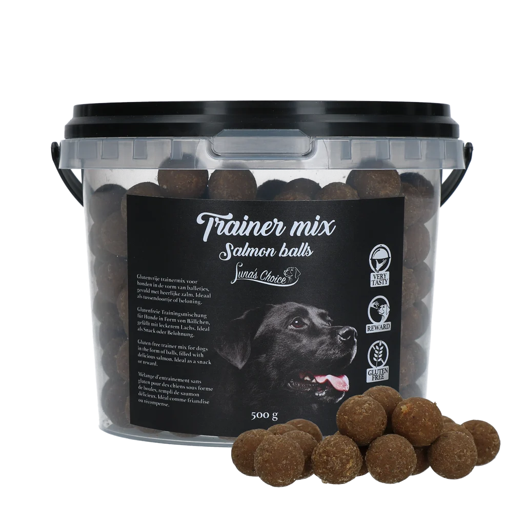 Boulettes d’entraînement pour chiens au saumon, sans céréales, 500 g – Luna's Choice Trainer Mix boulettes au saumon – Image 1