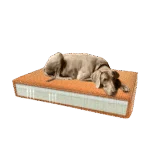 Coussin orthopédique pour chien avec mousse à mémoire de forme orange S, 45 x 55 x 12 cm – Coussin orthopédique Velvet Madison
