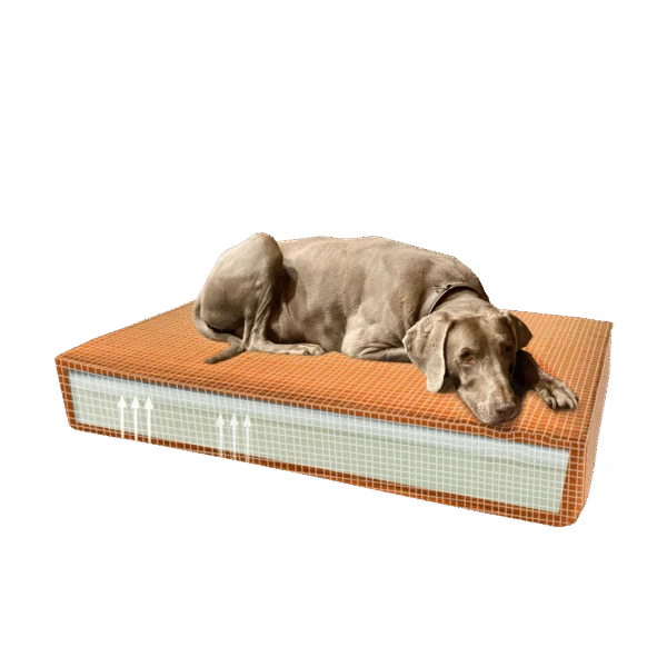 Coussin orthopédique pour chien avec mousse à mémoire de forme orange S, 45 x 55 x 12 cm – Coussin orthopédique Velvet Madison